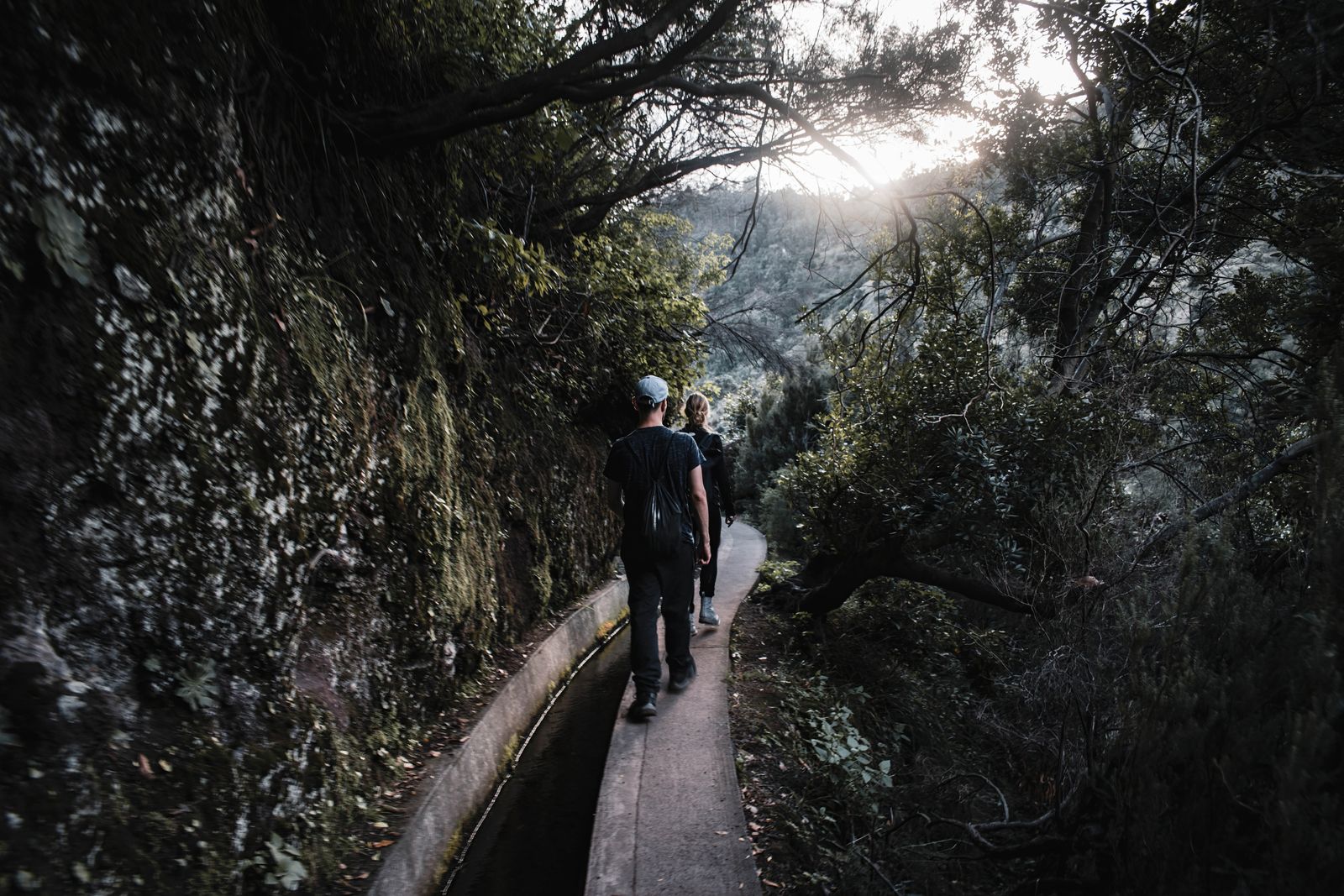 Media from Madeira Peaks & Levada Adventure