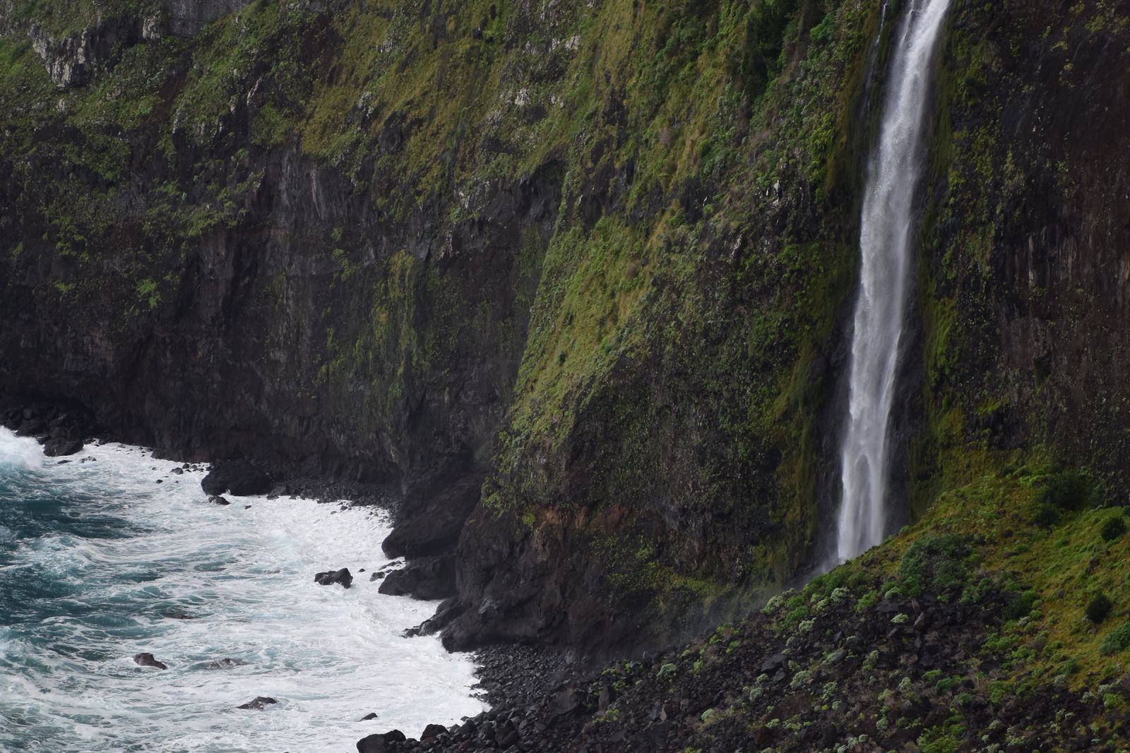 Media from Madeira Peaks & Levada Adventure