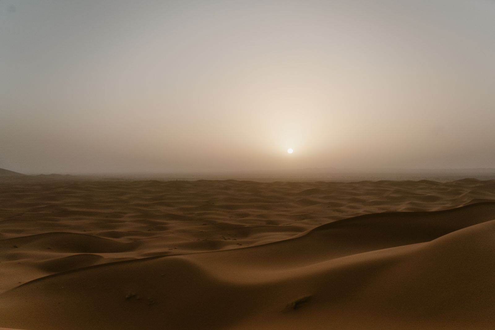 Sahara Stars & Berber Camp